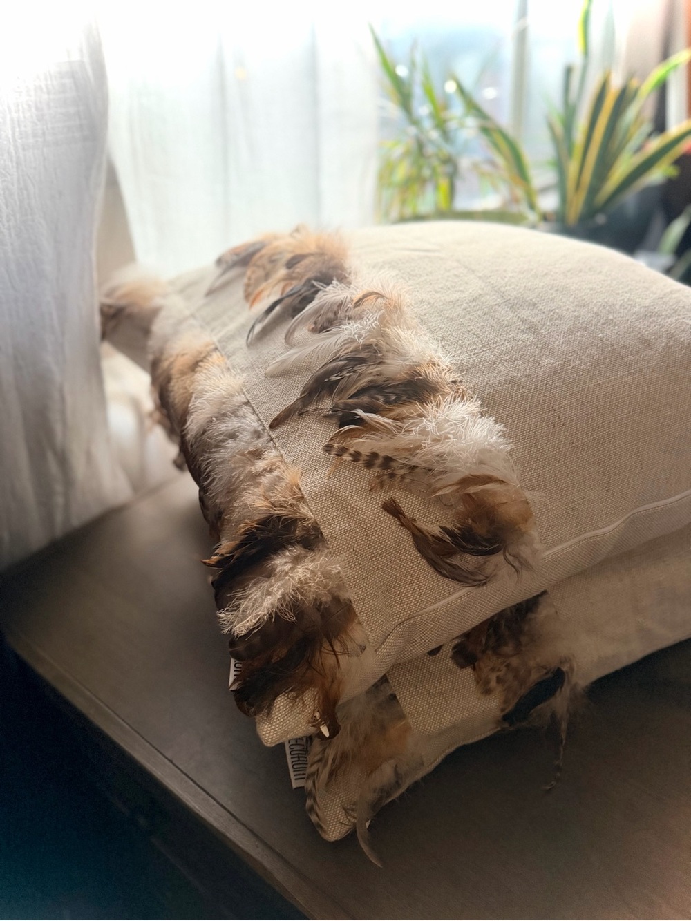 DECORUM | Large 24" | Feathers Oat Linen Down Throw Accent Pillow Euro Set Pair